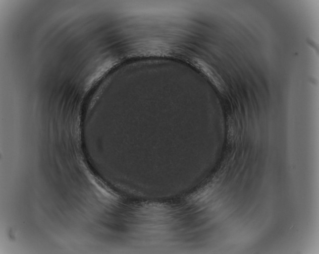 X0000097490677200803071739