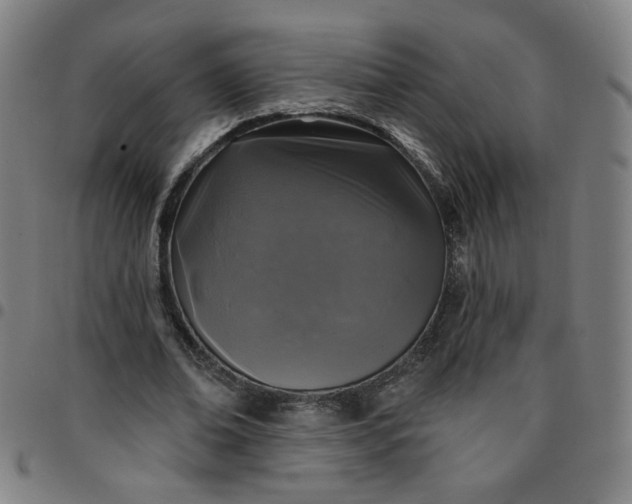 X0000097490678200803071739