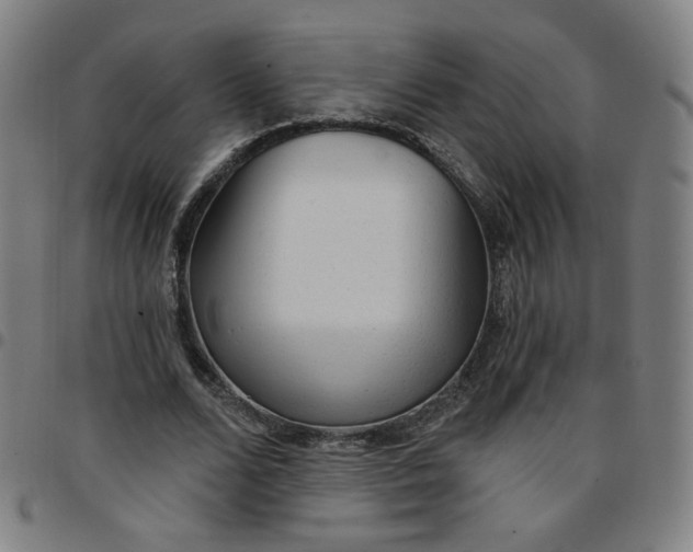 X0000097490680200803071739