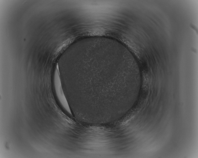 X0000097490681200803071739