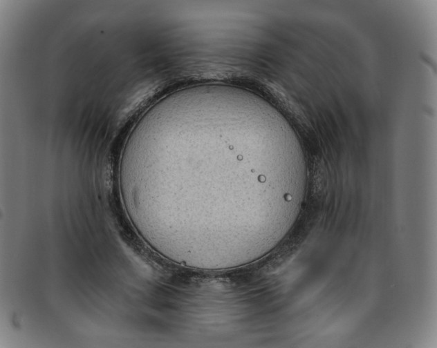 X0000097490683200803071739