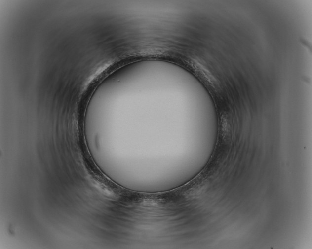 X0000097490684200803071739