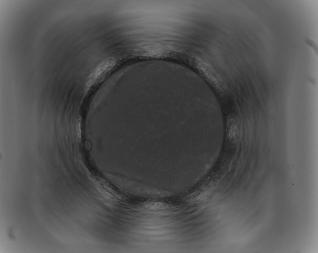 X0000097490685200803071739