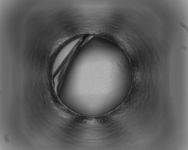 X0000097490688200803071739