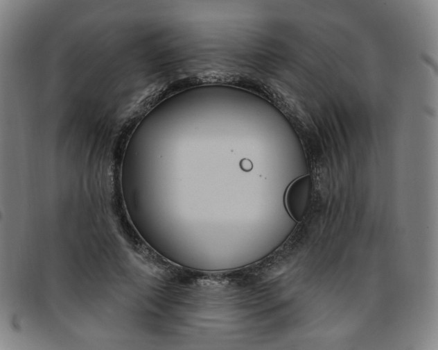 X0000097490690200803071739