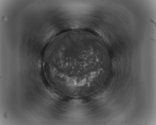 X0000097490691200803071739