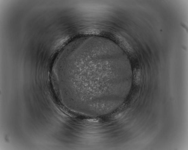 X0000097490692200803071739