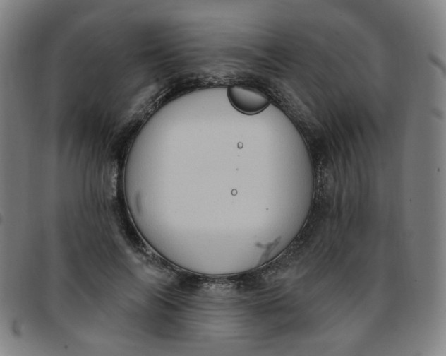 X0000097490694200803071739