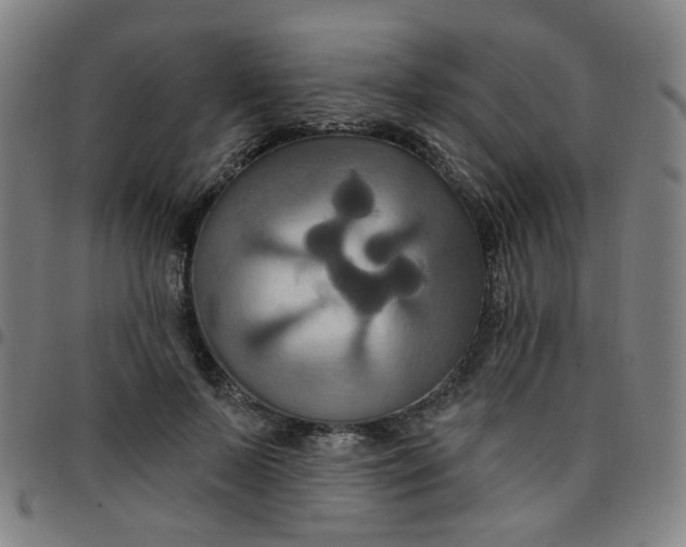 X0000097490695200803071739