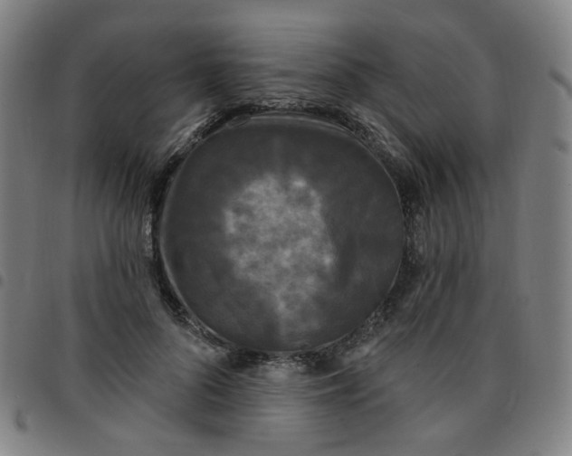 X0000097490696200803071739