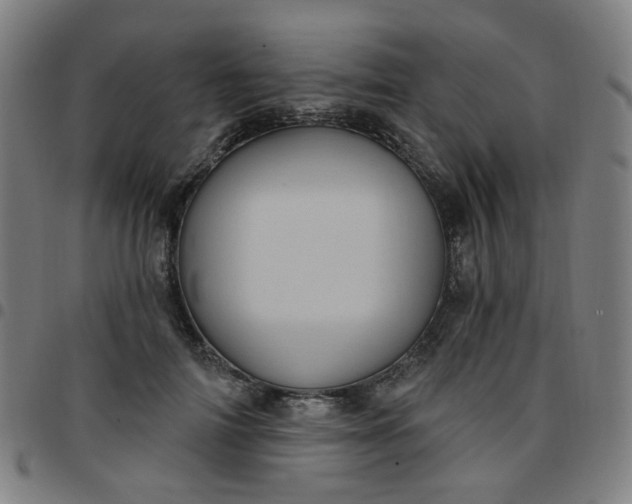 X0000097490698200803071739