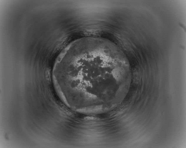 X0000097490699200803071739