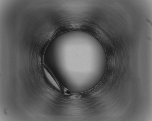 X0000097490700200803071739