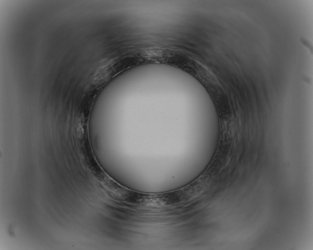 X0000097490702200803071739