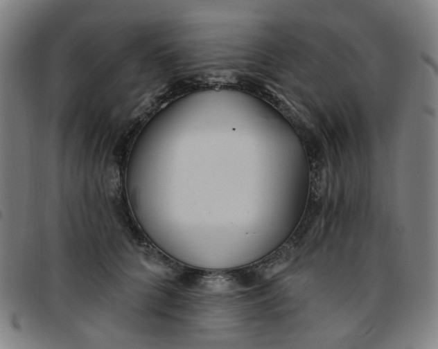 X0000097490704200803071739