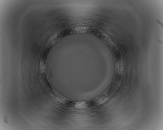 X0000097490705200803071739