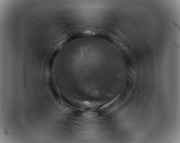 X0000097490707200803071739