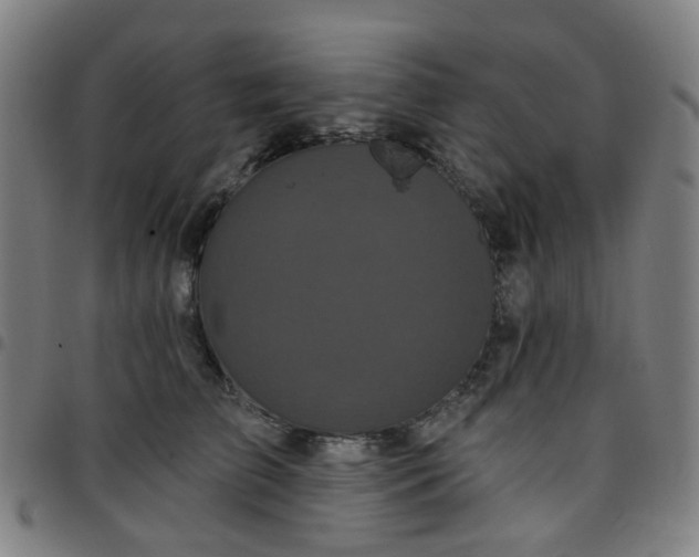 X0000097490709200803071739