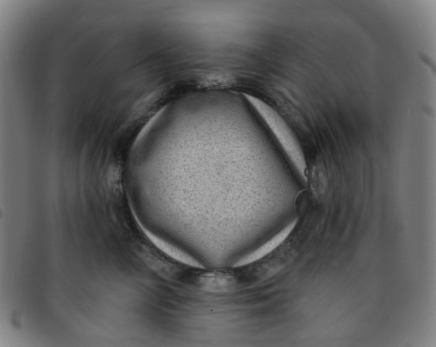 X0000097490714200803071739