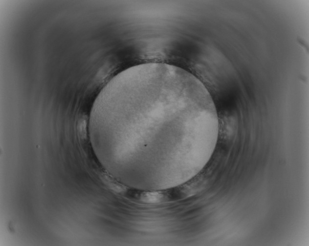 X0000097490717200803071739