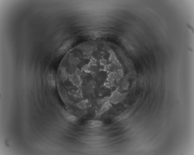 X0000097490719200803071739