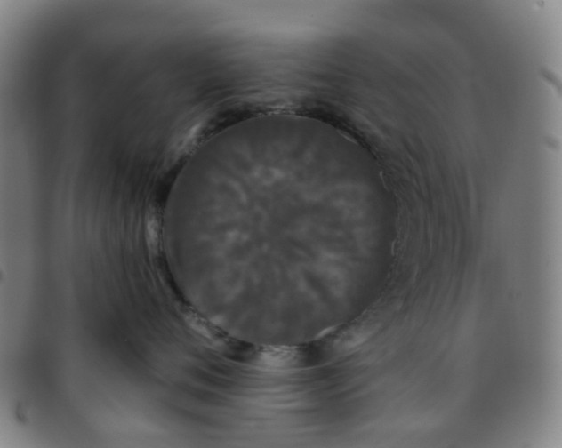 X0000097490720200803071739