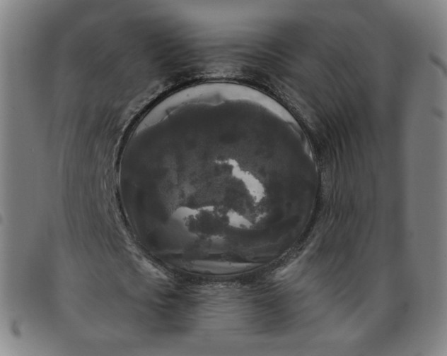 X0000097490721200803071738