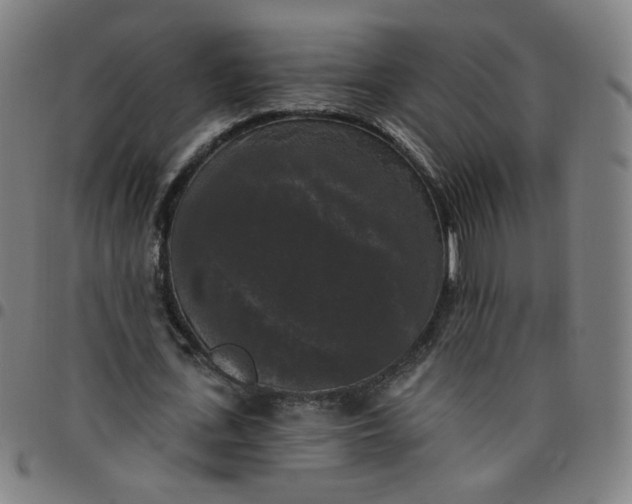 X0000097490723200803071738