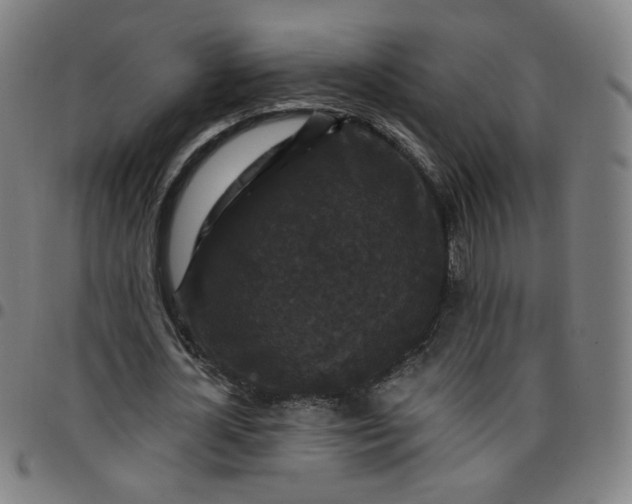 X0000097490724200803071738