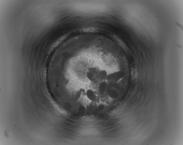 X0000097490725200803071738