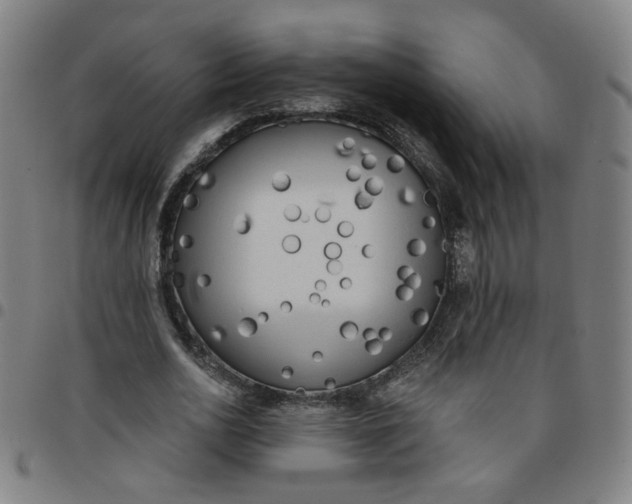 X0000097490726200803071738