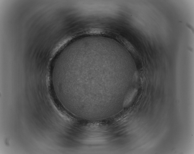 X0000097490728200803071738