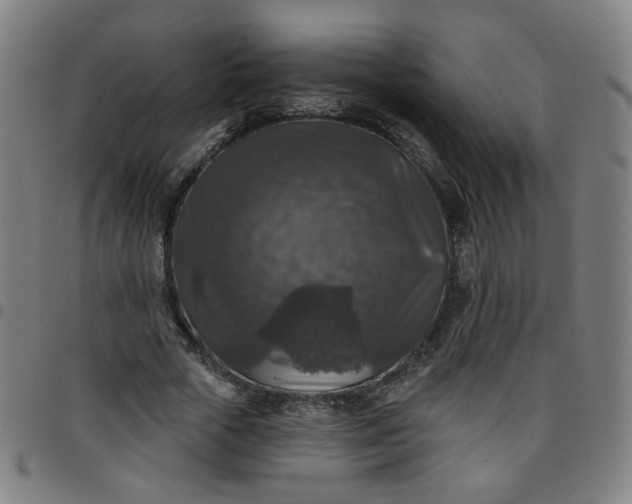 X0000097490729200803071738