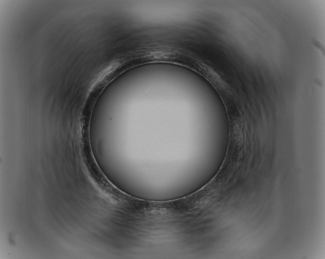 X0000097490730200803071738