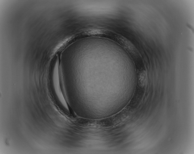 X0000097490732200803071738