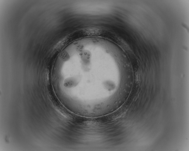 X0000097490733200803071738