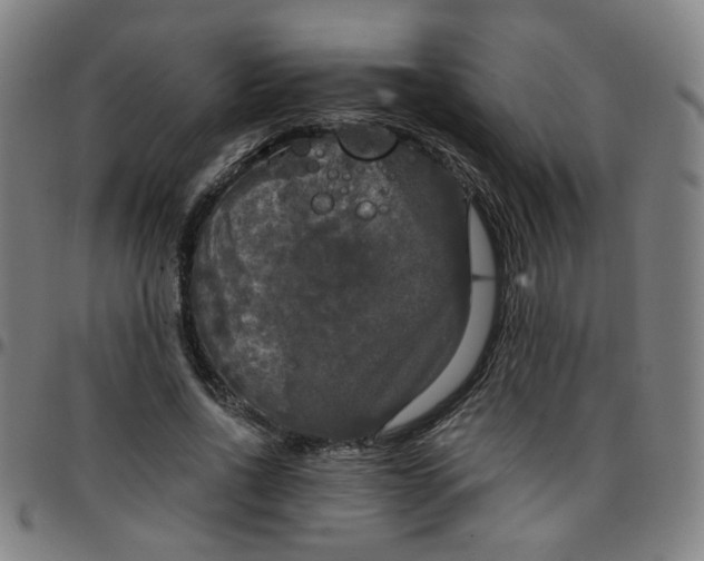 X0000097490734200803071738