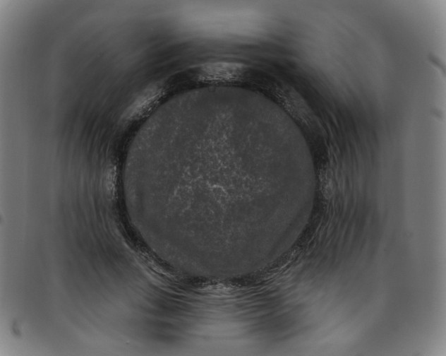 X0000097490735200803071738