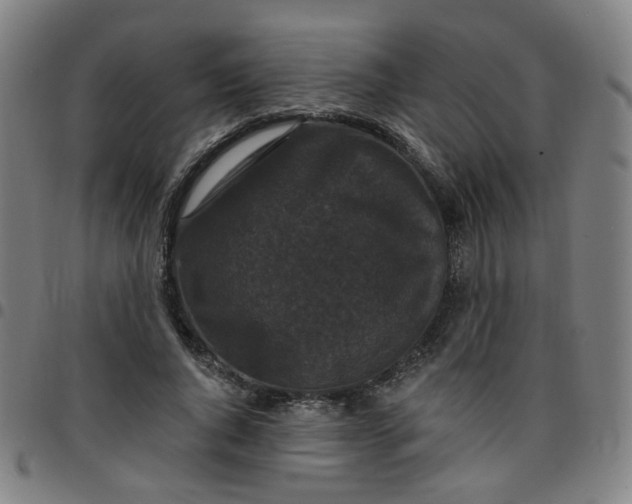 X0000097490736200803071738