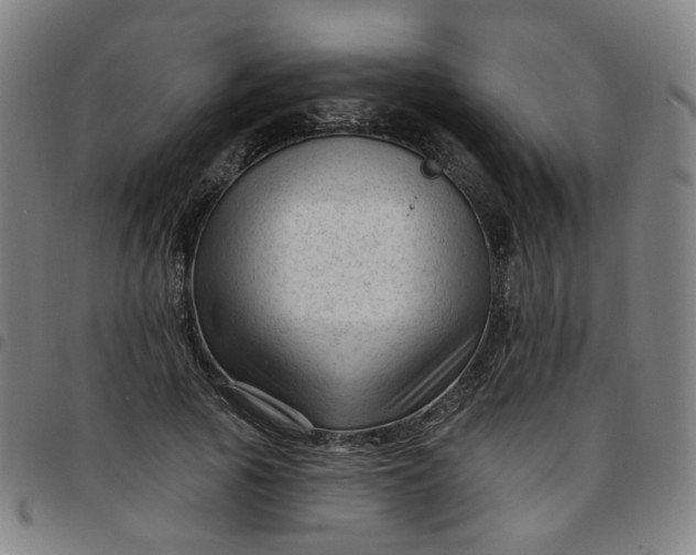 X0000097490737200803071738