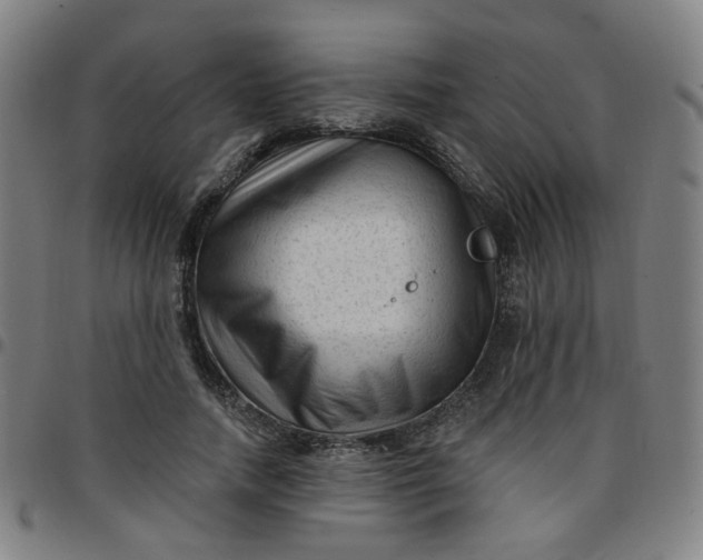 X0000097490738200803071738