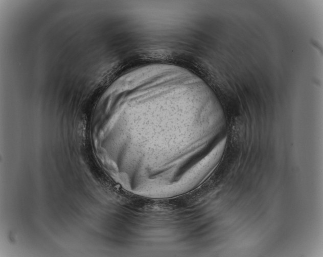 X0000097490739200803071738