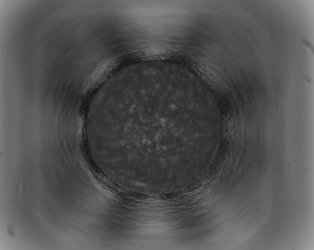 X0000097490742200803071738