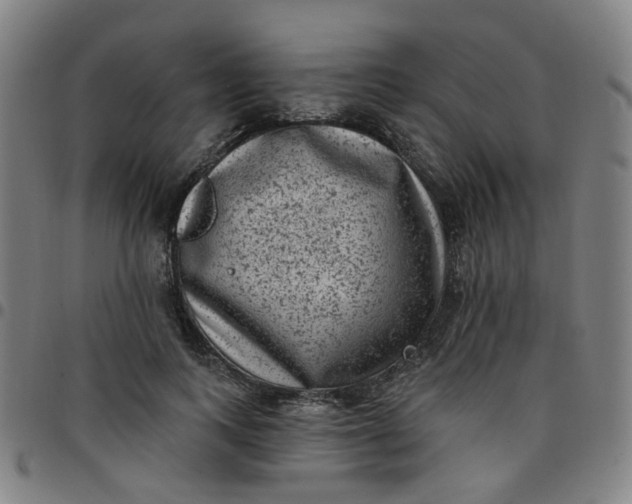 X0000097490743200803071738