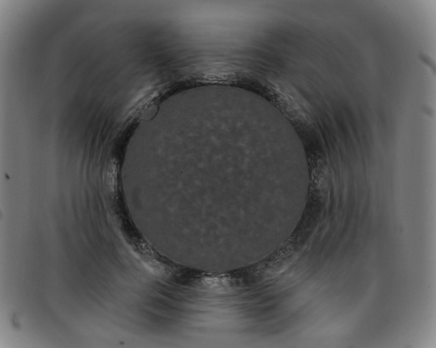 X0000097490744200803071738