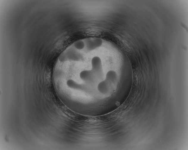 X0000097490745200803071738