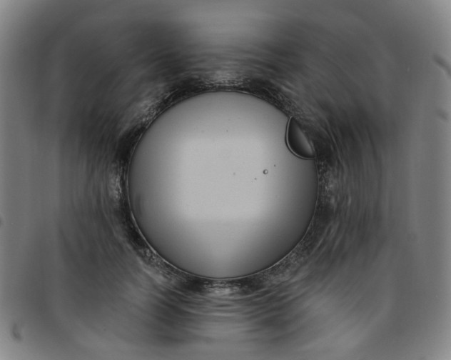 X0000097490746200803071738