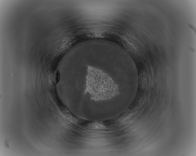 X0000097490747200803071738