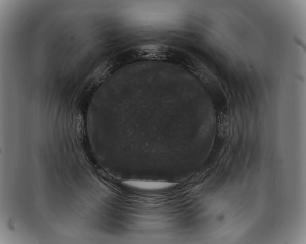 X0000097490748200803071738