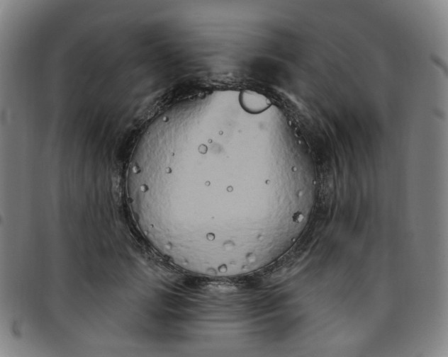 X0000097490749200803071738